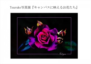 Tsuruko写真展『キャンバスに映えるお花たち』